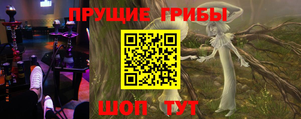 Артёмовский  Галлюциногенные грибы Cubensis  Вход с VPN 